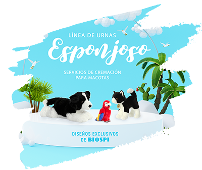 Urna esponjoso